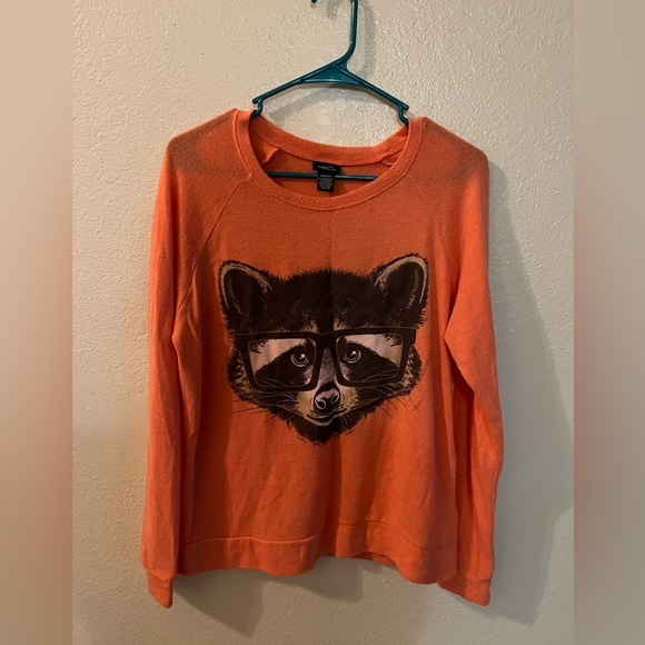 Rue21 Tops - Rue21 raccoon long sleeve tee